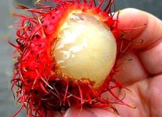 10 alimente care te-ar putea ucide cu adevărat