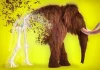 10 animale pe care oamenii de știință vor să le extindă