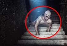 10 cele mai terifiante create găsite vreodată