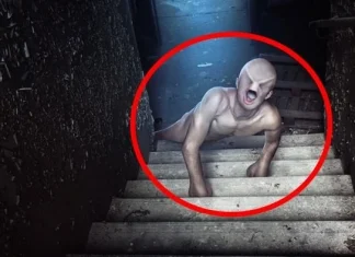 10 cele mai terifiante create găsite vreodată