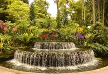 10 cele mai uimitoare grădini botanice