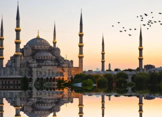 10 cele mai uimitoare și frumoase moșchei din lume