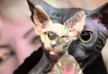 10 creaturi ciudate și hidoase