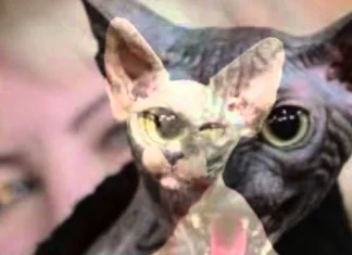 10 creaturi ciudate și hidoase