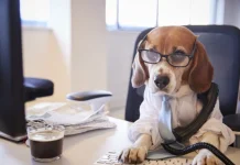 10 farse de birou care sunt pur și simplu geniale