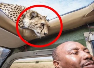 10 fotografii făcute înainte ca realitatea să ajungă