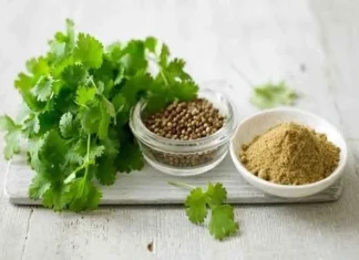 10 ingrediente de frumusețe neconvenționale ale Indiei antice