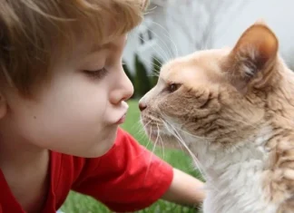 10 lucruri interesante despre pisici pe care trebuie să le știți