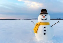 10 lucruri șocante pe care de fapt le puteți trimite prin poștă, legal, sigur!