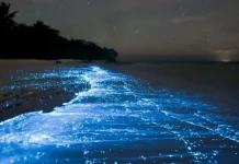 10 lucruri uimitoare din natură despre care nu vei crede că există cu adevărat