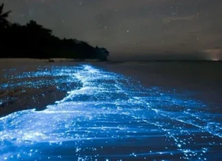 10 lucruri uimitoare din natură despre care nu vei crede că există cu adevărat