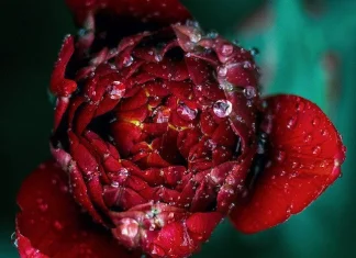 10 moduri științifice de a deveni o persoană mai fericită