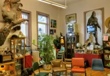 10 muzee extrem de ciudate din lume