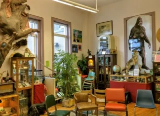 10 muzee extrem de ciudate din lume