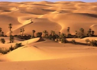 10 oaze minunate care te vor face să iubești deșertul