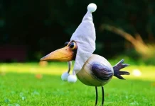 10 păsări înfiorătoare și amuzante