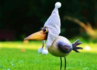 10 păsări înfiorătoare și amuzante