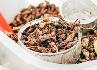 10 povești de origine alimentară nebunește de bizare