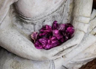 105 citate Mindfulness pentru muncă, viață și dragoste