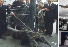 12 momente istorice memorabile nemaivazute pana acum