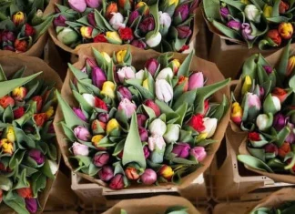 15 moduri de a fi mai recunoscător față de viața ta