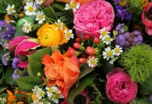 20 de flori uimitoare și frumoase găsite în Pakistan