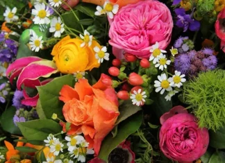 20 de flori uimitoare și frumoase găsite în Pakistan