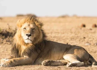 4 motiv pentru a folosi un planificator zilnic | Putere zilnică