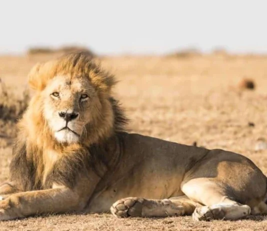 4 motiv pentru a folosi un planificator zilnic | Putere zilnică