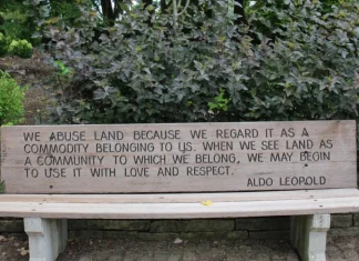 50 de citate Aldo Leopold din părintele ecologiei vieții sălbatice