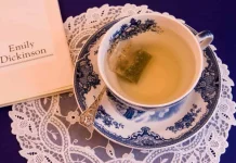 50 de citate Emily Dickinson despre viață, speranță și inspirație