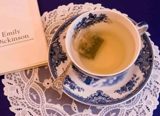 50 de citate Emily Dickinson despre viață, speranță și inspirație