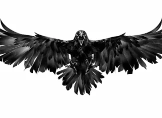 50 de citate The Crow din filmul plin de acțiune