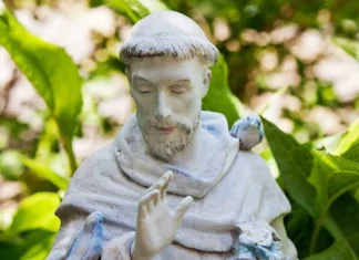 50 Sf. Francisc de Assisi Citate din Sfântul pentru ecologisti