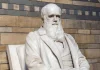 60 de citate Charles Darwin despre timp, schimbare și evoluție