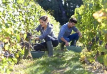 60 de citate de fermieri care vă vor face să iubești pământul