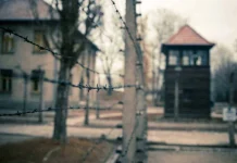 60 de citate despre Holocaust pentru amintire