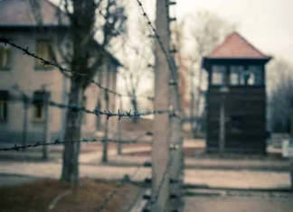 60 de citate despre Holocaust pentru amintire