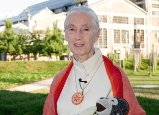 60 de citate Jane Goodall despre mediu
