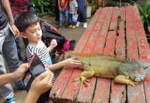 7 semne că ai o familie uimitoare