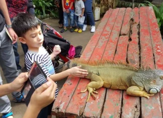 7 semne că ai o familie uimitoare