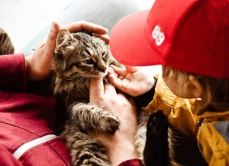 70 de citate despre animale care sărbătoresc rolul nostru lor în viețile