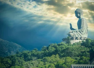 75 de citate de Buddha despre viață, moarte, pace și dragoste