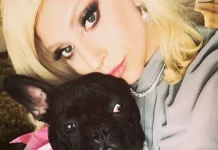 Cainii VIP, patrupedele celebritatilor