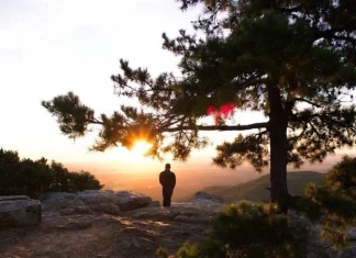 Ce nu învață natura despre schimbare și despre a nu iubi pe noi înșine