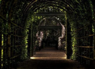 Ce să faci când un monstru îți blochează calea