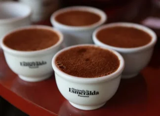 Cea mai scumpă cafea: Top 10 cele mai costisitoare cafele din lume