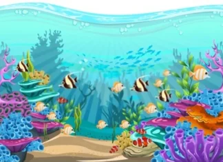 Cei mai buni 10 pesti de acvariu pentru incepatori