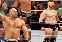 Cele 10 secrete pe care nu le vei sti niciodata despre cei mai puternici luptatori WWE.