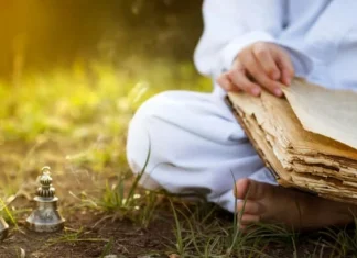 Citate Cuvinte de înțelepciune | Motivație zilnică și pantaloni scurți inspiraționali